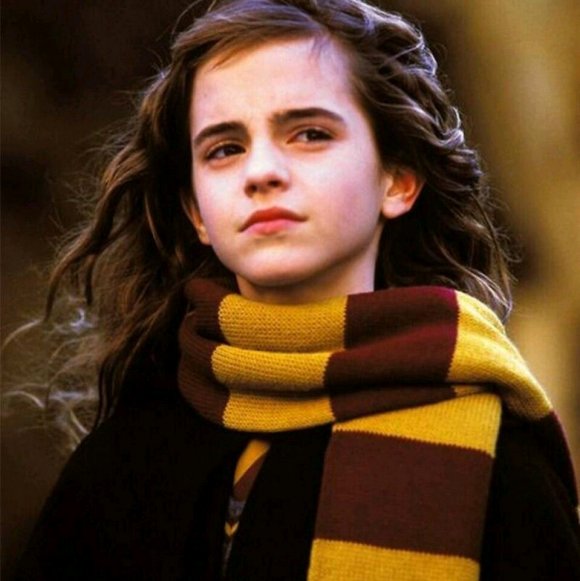 小森林素材铺 第423张.jpg