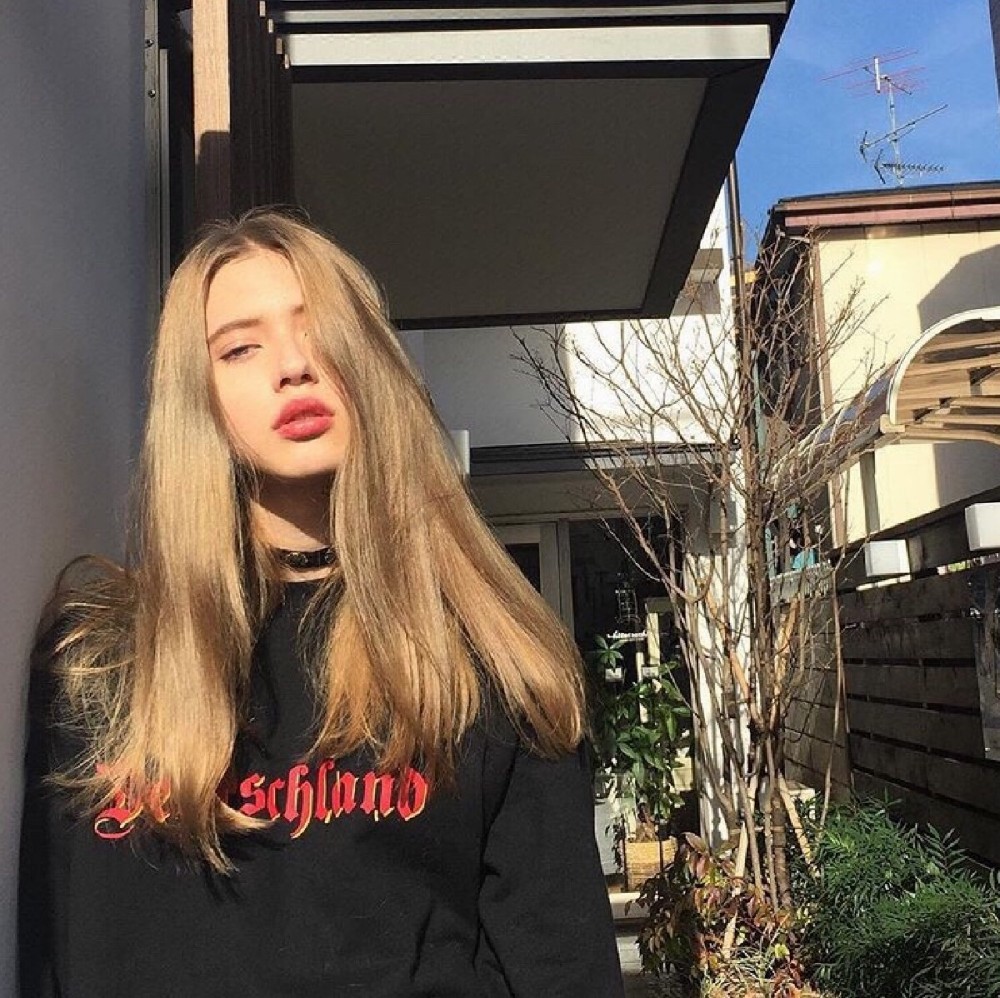 小森林素材铺 第4张.jpeg